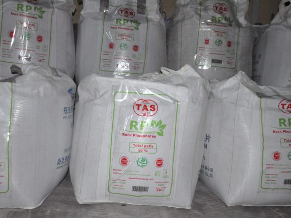 phosphate Rock Egypt in Gambo Bags