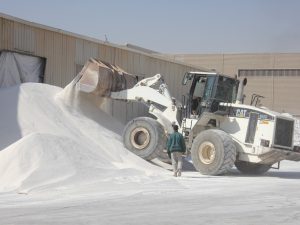 Tasflowrance Egypt Limestone